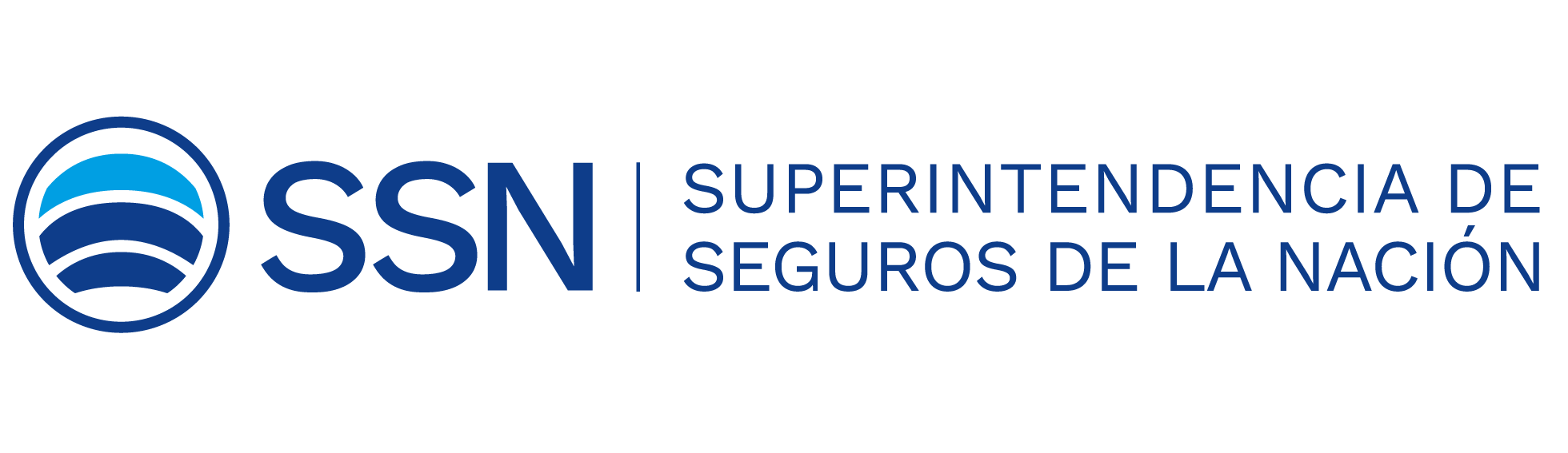 asesores de seguros san vicente brandsen